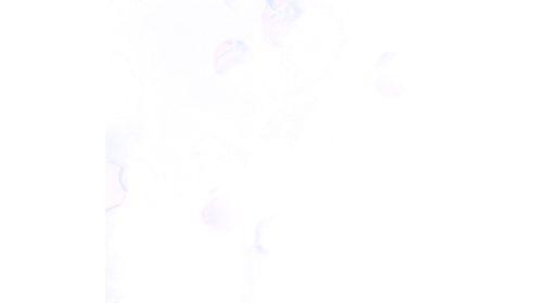 (4K) Lens Dirt Flare 5 