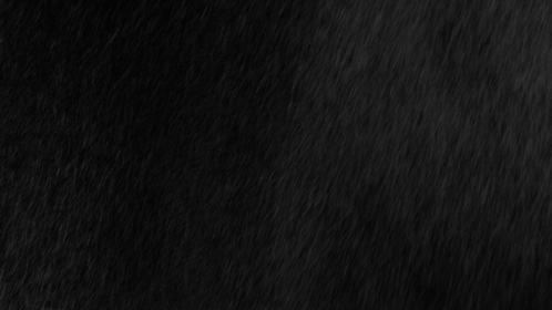 (4K) Real Heavy Rain and Wind 2