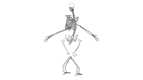 Cartoon Skeleton Explode Spin 