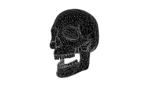 Glitchy Skull Laughing Quarter 