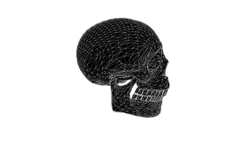 Glitchy Skull Twist Front 
