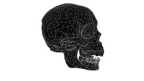 Glitchy Skull Wavy Spin 