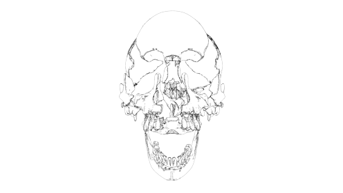 Mograph Skull Front 
