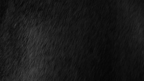 Real Heavy Rain 2