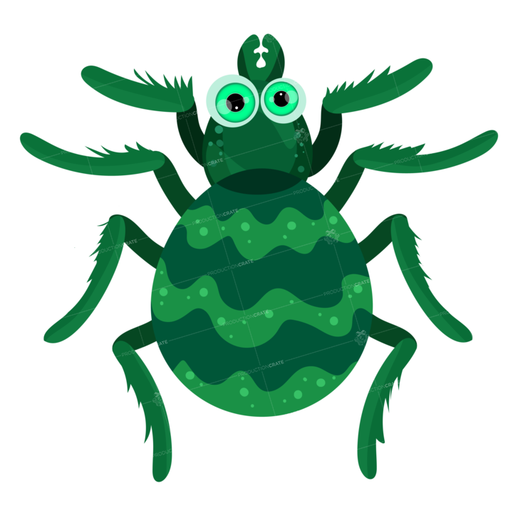 Cartoon Green Spider Vector EPS