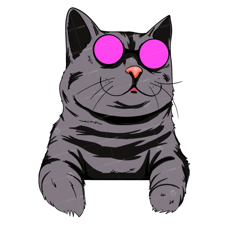 Cat Popart Black