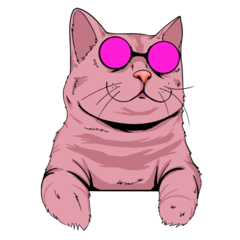 Cat Popart Pink