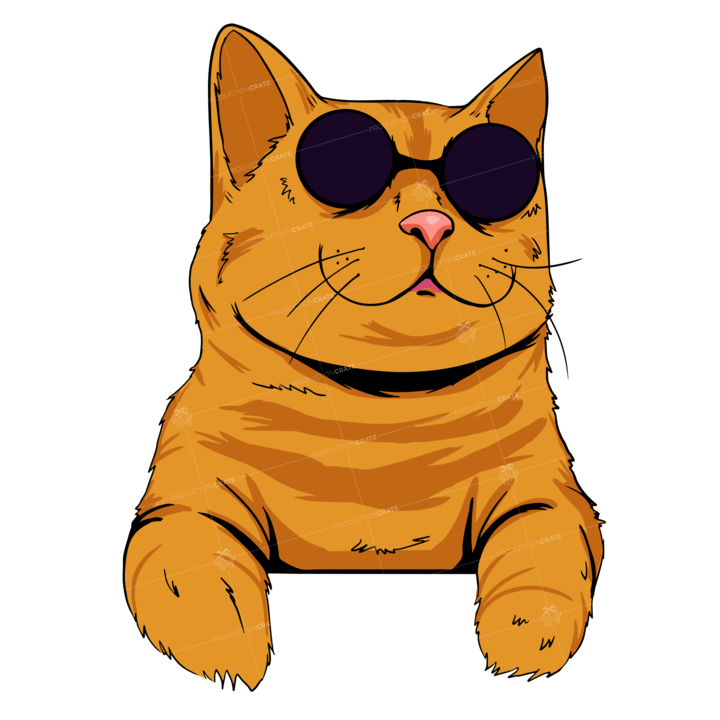 Cat Popart Orange