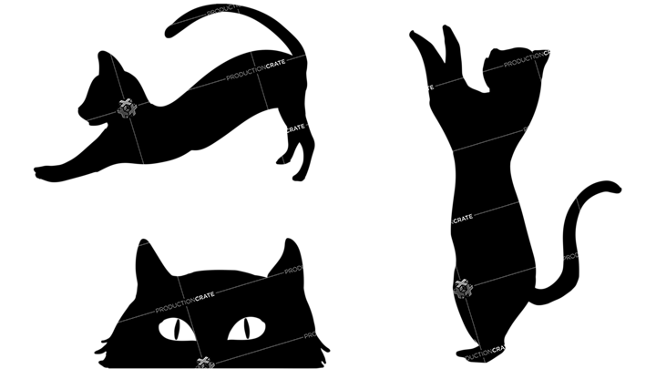 Cat Shadow Black