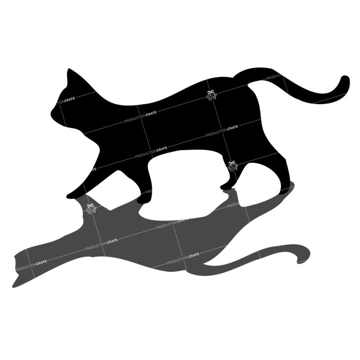 Cat Shadow