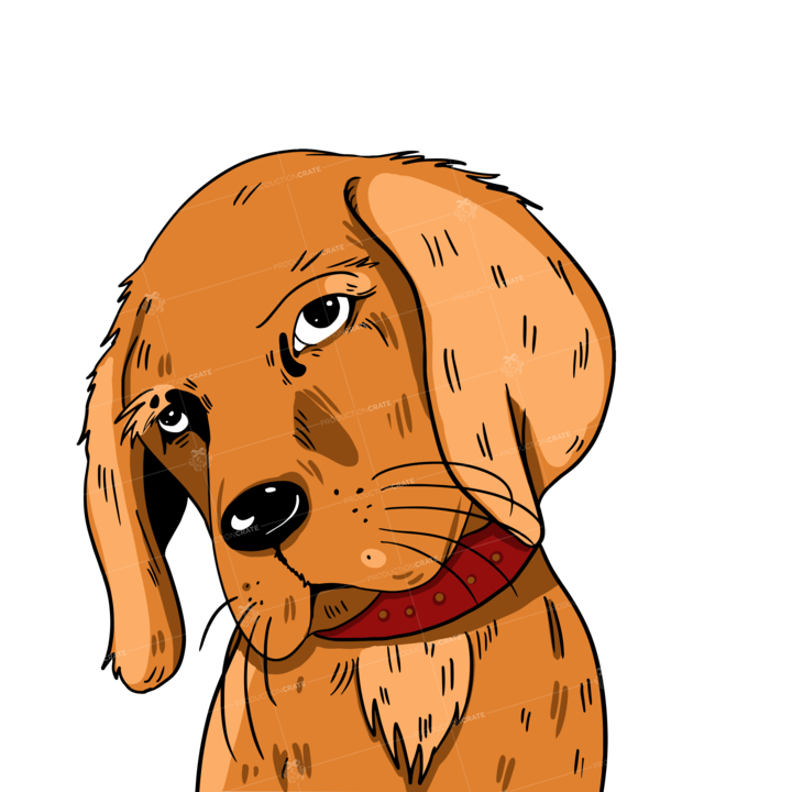 Dog Brown
