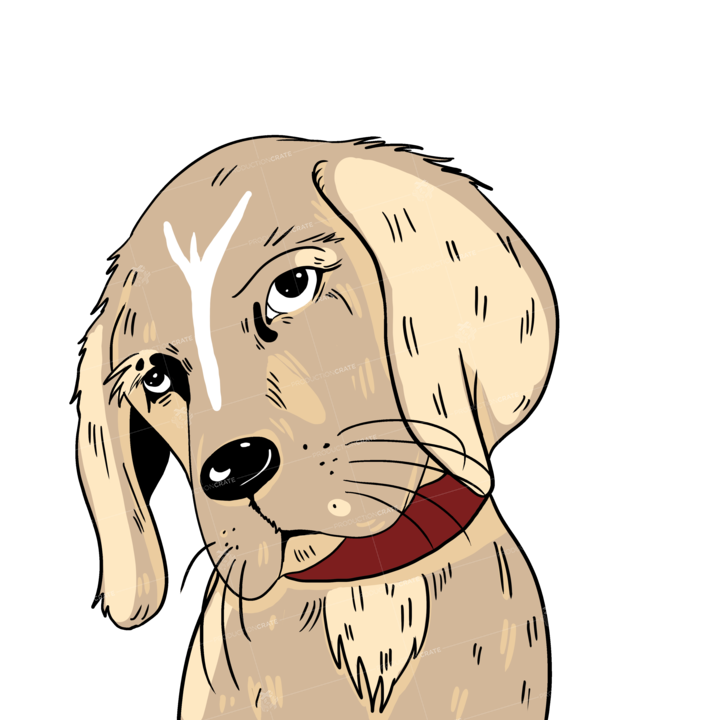 Dog Yellow