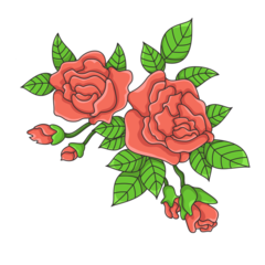 Flower Roses