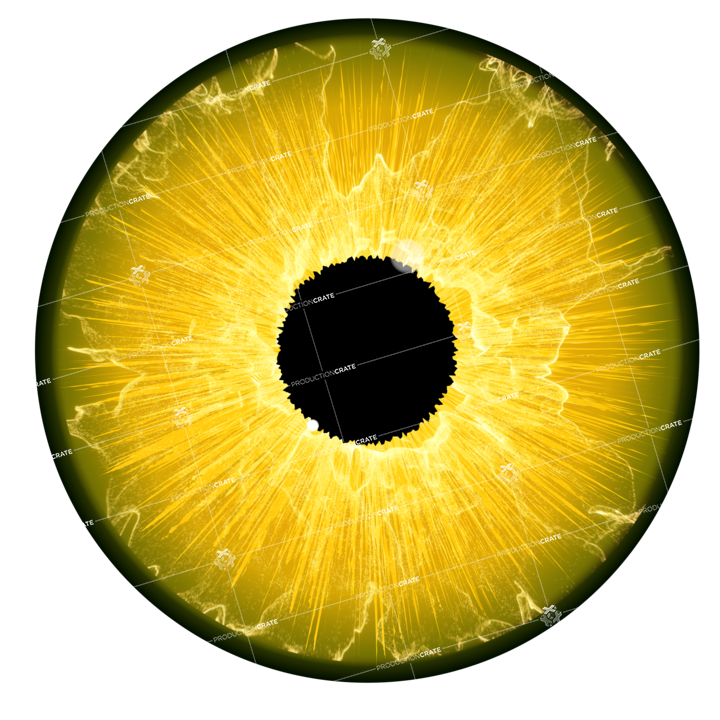 Lighting Eye