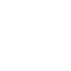 Octopus Graffiti Line