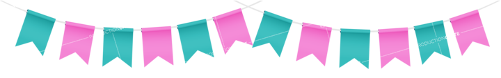 Party Flag Pink Blue