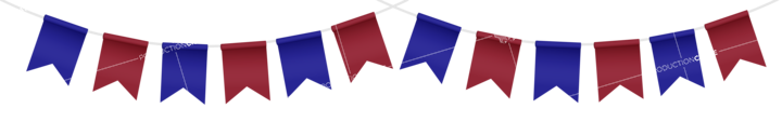 Party Flag Red Blue