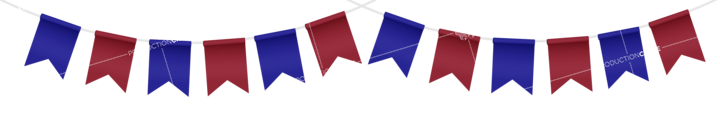 Party Flag Red Blue