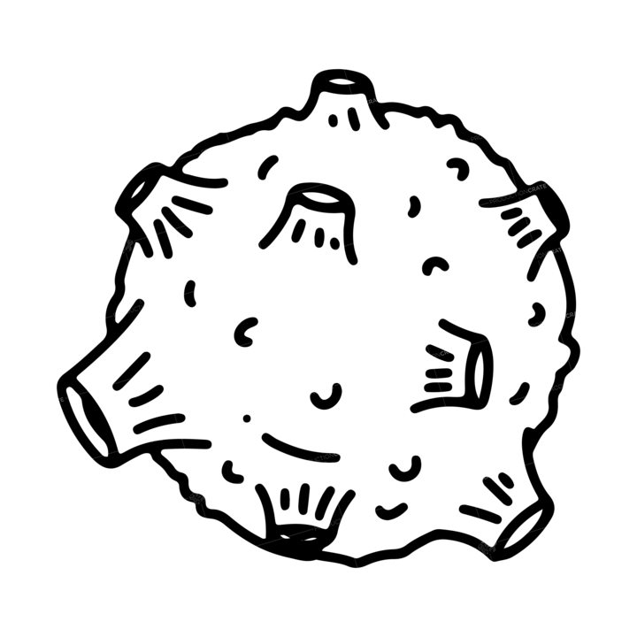 Space Doodle 6