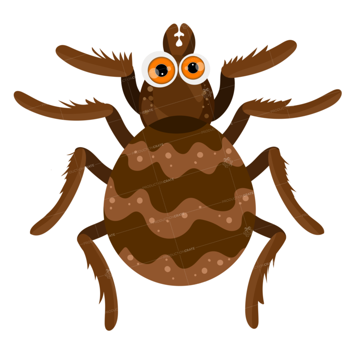 Cartoon Brown Spider Vector EPS