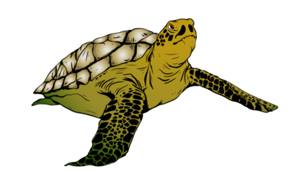 Sea Turtle Illustrated Brown