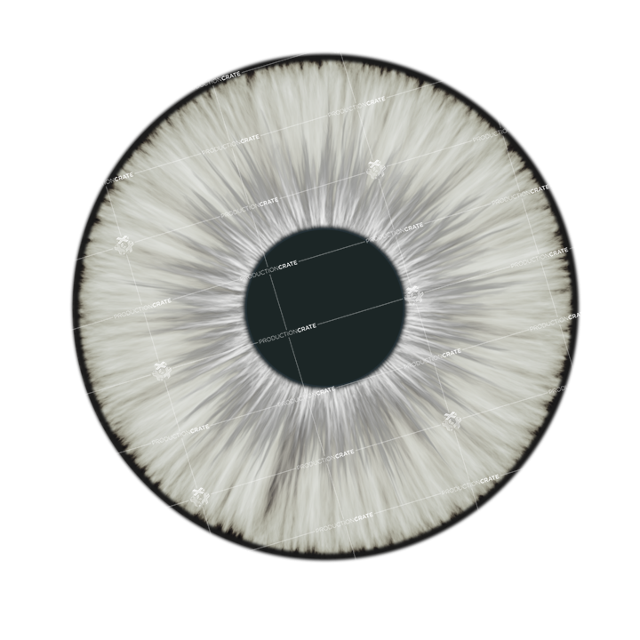 White Lens