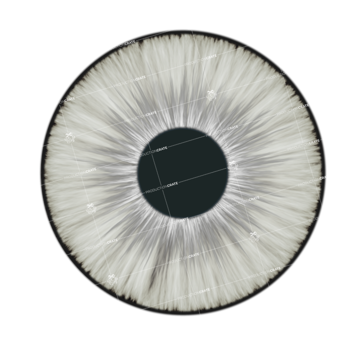 White Lens