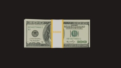 Money Bundle