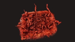 Blood Wound 1