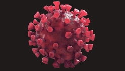 Coronavirus 1