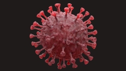 Coronavirus 2