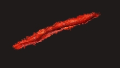 Gash 1